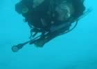 Snorkeling Photo 1