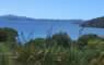 New Zealand